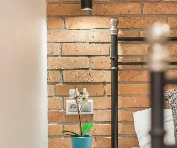 公寓 Sea Apartments- Okrzei 索波特